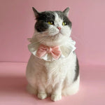 Princess Style Pet Bib with Bow for Small Dogs and Cats - GreenFur