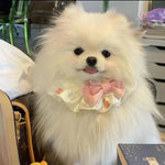Princess Style Shiny Satin Pet Bib with Bow for Cats and Dogs - GreenFur