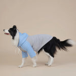 Pullover Dog Hoodie Two - Leg Sweatshirt for All - Season Wear - GreenFur
