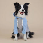 Pullover Dog Hoodie Two - Leg Sweatshirt for All - Season Wear - GreenFur