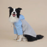 Pullover Dog Hoodie Two - Leg Sweatshirt for All - Season Wear - GreenFur