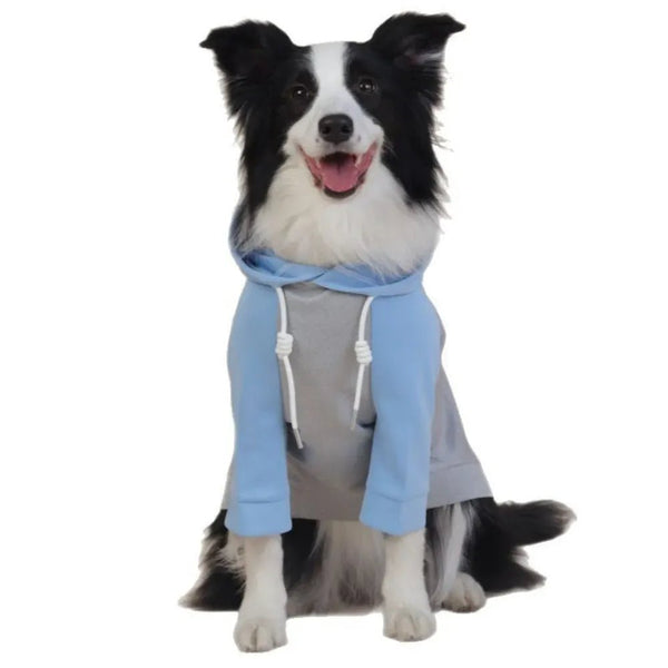 Pullover Dog Hoodie Two - Leg Sweatshirt for All - Season Wear - GreenFur