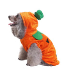 Pumpkin Color Short Plush Halloween Pet Hoodie Outfit - GreenFur