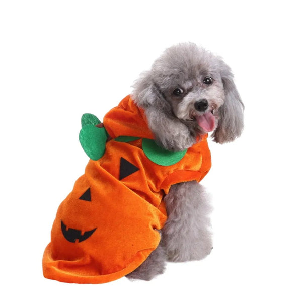 Pumpkin Color Short Plush Halloween Pet Hoodie Outfit - GreenFur
