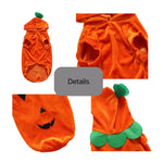 Pumpkin Color Short Plush Halloween Pet Hoodie Outfit - GreenFur