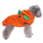 Pumpkin Color Short Plush Halloween Pet Hoodie Outfit - GreenFur