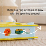Puzzle Maze with Bells and Teaser Wand Interactive PP Cat Toy - GreenFur