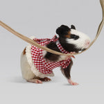 Rabbit Red Polyester Plaid Pet Skirt - GreenFur