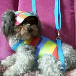 Rainbow Stripe Dog Baseball Cap for Outdoor Sun Protection - GreenFur