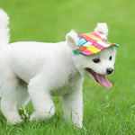 Rainbow Stripe Dog Baseball Cap for Outdoor Sun Protection - GreenFur