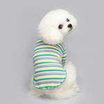 Rainbow Striped Dog Shirt - GreenFur