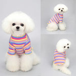 Rainbow Striped Dog Shirt - GreenFur