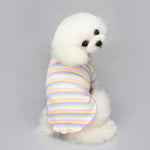 Rainbow Striped Dog Shirt - GreenFur