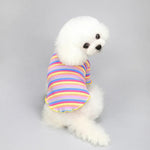Rainbow Striped Dog Shirt - GreenFur