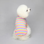 Rainbow Striped Dog Shirt - GreenFur