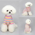 Rainbow Striped Dog Shirt - GreenFur