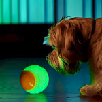 Random Color Single High Bouncy Glow in The Dark Dog Ball Throwing Toy - GreenFur