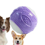 Random Color Single High Bouncy Glow in The Dark Dog Ball Throwing Toy - GreenFur