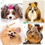 Random Mix 20 Pcs Pet Headwear Floral Hair Clips for Dogs - GreenFur