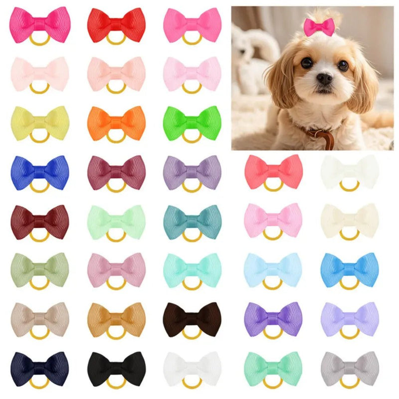 Random Mix 40 Pcs Colorful Bow Dog Hair Accessories with Elastic Bands - GreenFur