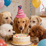 Realistic Happy Birthday Pet Hat Plush Toy - GreenFur
