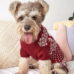 Red Reindeer Christmas Knit Dog Sweater - GreenFur