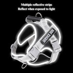 Reflective Adjustable Pet Harness for Large Dogs - GreenFur