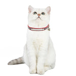 Reflective Adjustable PU Leather Cat Collar with Bell - GreenFur