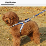 Reflective Braided Dog Leash with Harness - GreenFur