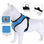 Reflective Breathable Mesh Pet Harness and Leash Set with Adjustable Buckles - GreenFur