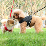 Reflective Breathable Mesh Pet Harness and Leash Set with Adjustable Buckles - GreenFur