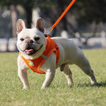 Reflective Breathable Pet Harness Leash Set with Adjustable Chest Strap - GreenFur