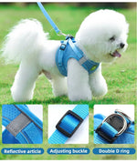 Reflective Breathable Pet Harness Leash Set with Adjustable Chest Strap - GreenFur
