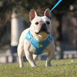Reflective Breathable Pet Harness Leash Set with Adjustable Chest Strap - GreenFur