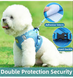 Reflective Breathable Pet Harness Leash Set with Adjustable Chest Strap - GreenFur