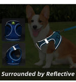 Reflective Breathable Pet Harness Leash Set with Adjustable Chest Strap - GreenFur