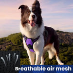 Reflective Heavy - Duty Pet Harness for Large Dogs - GreenFur