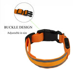 Reflective Night Safe USB Rechargeable LED Dog Collar - GreenFur