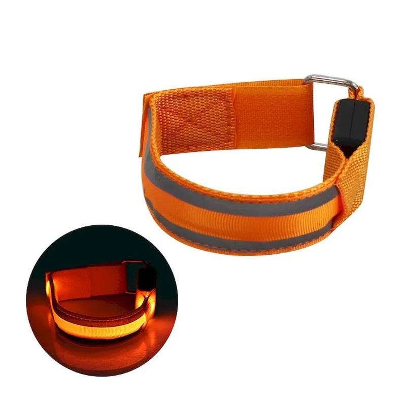 Reflective Night Safe USB Rechargeable LED Dog Collar - GreenFur