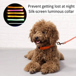 Reflective Night Safe USB Rechargeable LED Dog Collar - GreenFur
