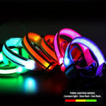Reflective Night Safe USB Rechargeable LED Dog Collar - GreenFur