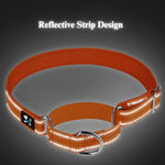 Reflective Nylon Dog Collar with Anti - Pull Design - GreenFur