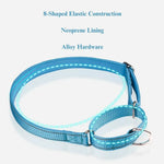 Reflective Nylon Dog Collar with Anti - Pull Design - GreenFur