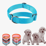 Reflective Nylon Dog Collar with Anti - Pull Design - GreenFur