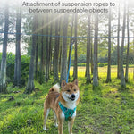 Reflective Pet Leash with Anti - Tangle Suspension Rope for Outdoor Activities - GreenFur