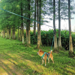 Reflective Pet Leash with Anti - Tangle Suspension Rope for Outdoor Activities - GreenFur