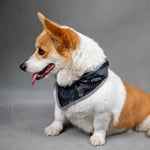Reflective Polyester Bibs in Fluorescent Colors for Dogs - GreenFur