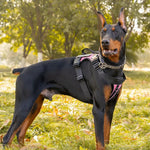 Reflective Solid Color Tactical Dog Vest Harness with Handle - GreenFur