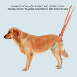 Rehabilitation Training Aid Back Legs Strap Support Dog Harness - GreenFur