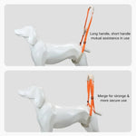 Rehabilitation Training Aid Back Legs Strap Support Dog Harness - GreenFur